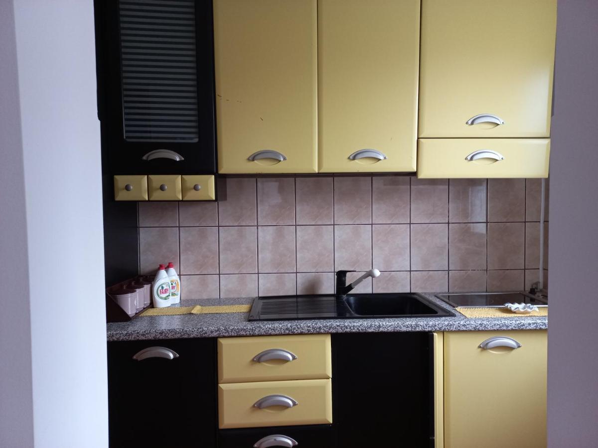 Milic Apartment Sokobanja